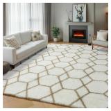ONASAR Rugs for Living Room Bedroom, 5x8 Fluffy Wh