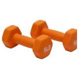6LB Dumbbell Hand Weights for Exercise and Muscle