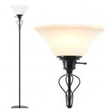 NATYSWAN Floor Lamp for Living Room,70in Black Sta