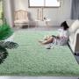DweIke Fluffy Sage Green Rugs for Bedroom Living R