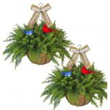 Artificial Cypress Hanging Basket with Birds, 2 PC