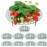 LOT OF 2 Strawberry Plant Support, 10 Pack, Raised