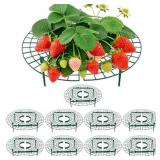 Strawberry Plant Support, 10 Pack, Raised Grid Sta