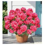 Fake Geraniums Artificial Flowers for Outdoors Out