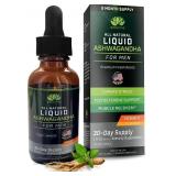 BIOACTIVE Liquid Ashwagandha Drops - Testosterone