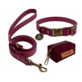 Size X-Small Wisedog Waterproof Dog Collar and Lea