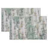 2 Pcs Washable Indoor Doormat Modern Abstract Soft