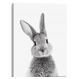 Size 12 x 16 In Bunny Wall Art Easter Wall Art Rab