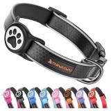 Heavy Duty Dog Collar with Silicone AirTag Holder,