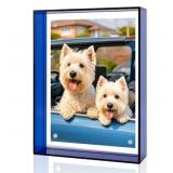 5 Pack CRAFTIFANO Acrylic Picture Frame 5x7 Inch B