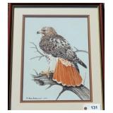 "Red-tail Hawk" orig watercolor by Rod Arbogast,