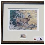 1981 Conservation stamp print Whitetail by