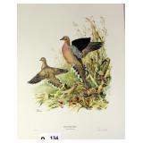 "Mourning Dove" by Ned Smith, 89/500 unframed
