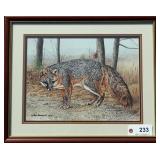 Grey Fox original watercolor by Rod Arbogast,