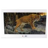 "Forest Prowler" by RC Kray 570/600,