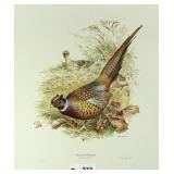 "Ring Neck Pheasant" by Ned Smith 89/500 printed