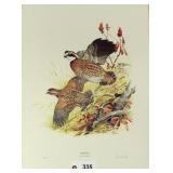 "Bobwhite" by Ned Smith 89/500 printed in Italy,