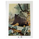 "Big Country Bruin" by Bob Sopchick #347/600