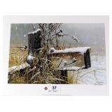 "Special Delivery" by Michael Budden #8/600