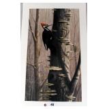 "Court Jester" by Rob Stine Copyright 1988