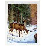 Ned Smith Copyright 1975 Pennsylvania Game