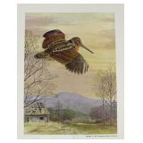 Ned Smith Copyright 1975 Pennsylvania Game