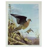 Ned Smith Copyright 1975 Pennsylvania Game