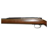 Remington, Model 580 Smooth Bore, .22 LR Shot,