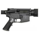 Plum Crazy, C-15, 5.56 Nato,