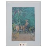 "Goldenrod Buck" by Bed Smith 710/1275 NSCNA