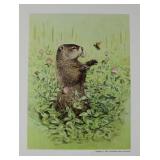 Groundhog by Ned Smith Copyright 1975,