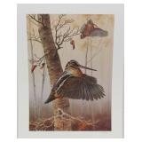 "American Woodcock" by RC Kray 527/950 print,