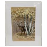 "Birch Bottom Buck" by Ned Smith, NSCNA print,