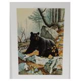 "Big Country Bruin" by Bob Sopchick signed print,