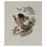 "Ruffed Grouse" by Ned Smith print, printed in
