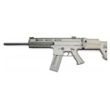 Anschutz, Msr RX22, .22 LR,