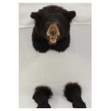 Black Bear shoulder mount with legs to appear as