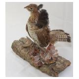 Ruffed Grouse full body mount