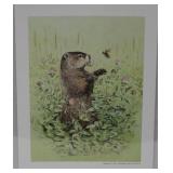 Ground Hog by Ned Smith 1975 PA Game