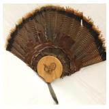 Turkey tail feather & beard mount, 29.5"x28"