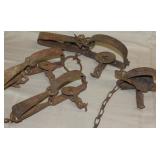 3 Victor traps w/chains, unknown trap w/chain