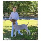 Scotty Williams - Goats