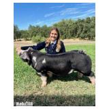 Larissa Wilson - Hog