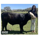 Yesenia Garcia - Steer