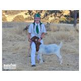 Casi Blackson - Goats