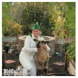Alyssa Mangan - Sheep