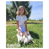 Vivian Mattos - Rabbit