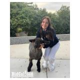 Presley Carlson - Sheep