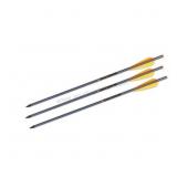 Tenpoint Crossbow Bolts - 20"