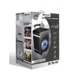 Portable PA Speaker